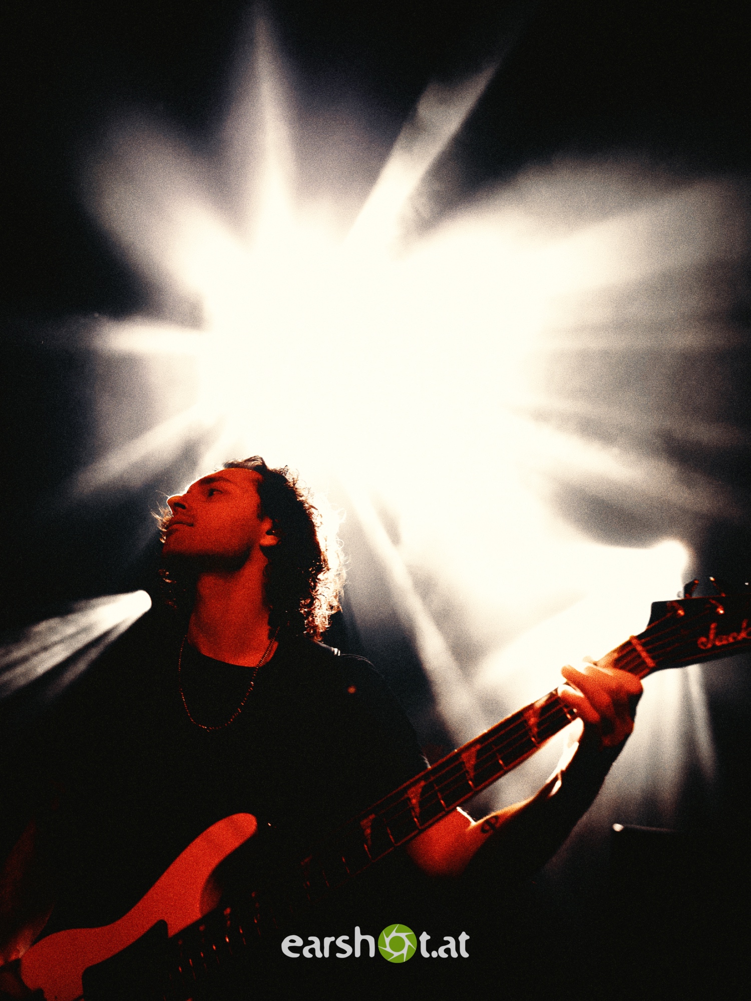 STRAY FROM THE PATH, ALPHA WOLF, GRAPHIC NATURE, CALVA LOUISE