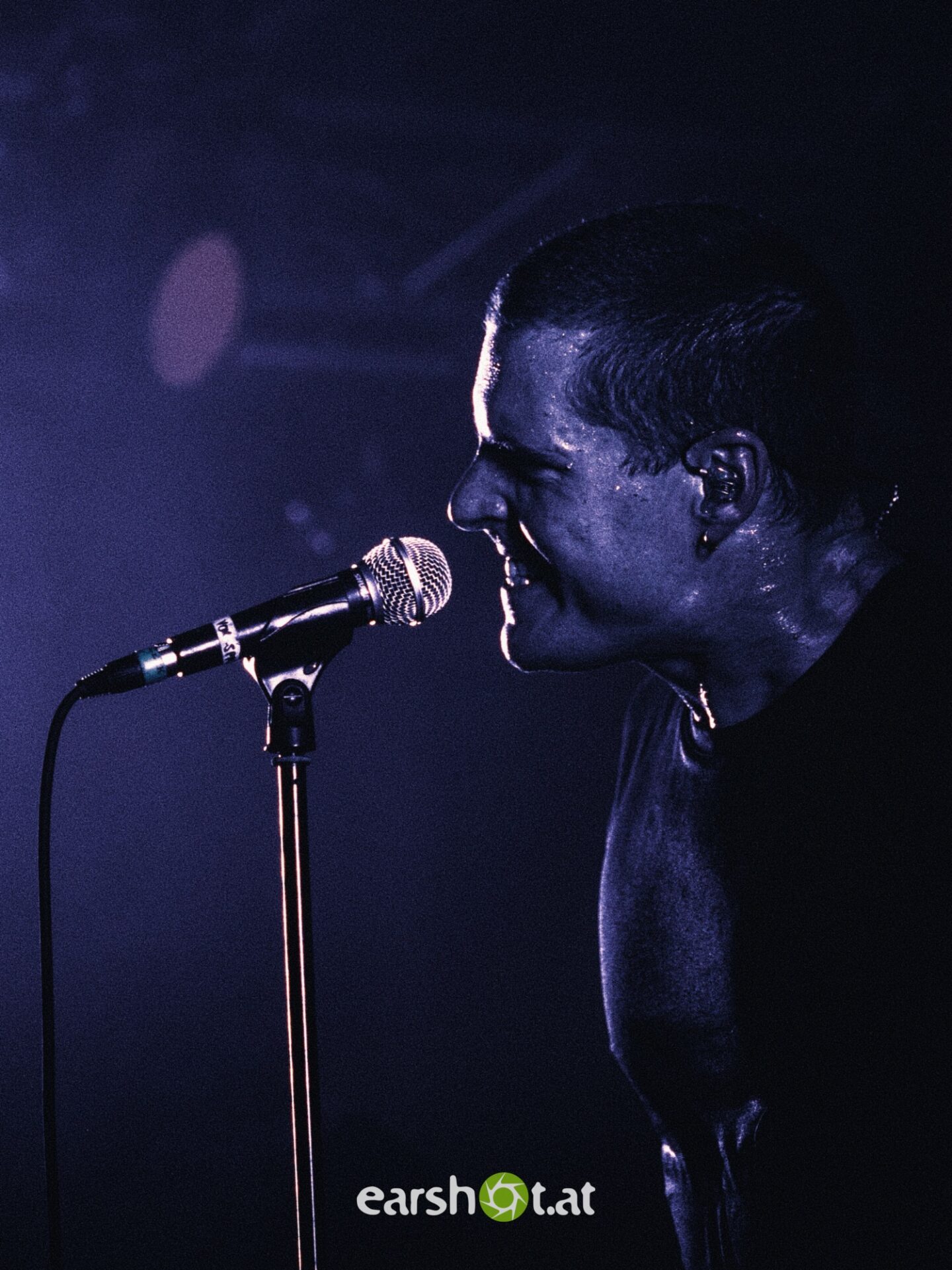 DEAFHEAVEN, PORTRAYAL OF GUILT, ZERUEL