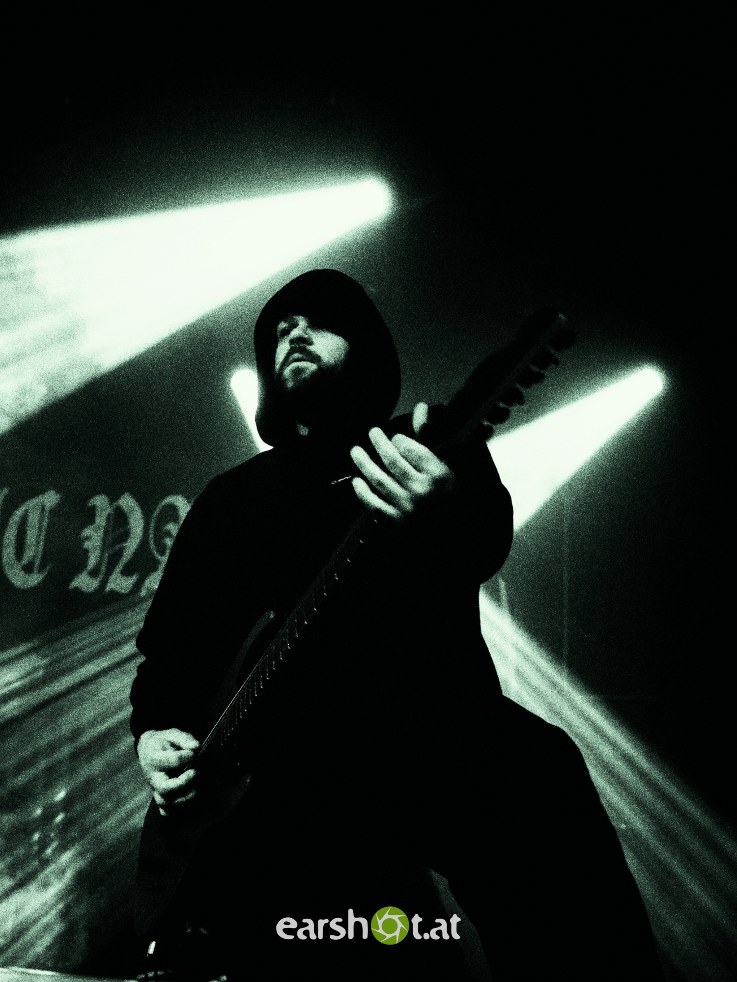 STRAY FROM THE PATH, ALPHA WOLF, GRAPHIC NATURE, CALVA LOUISE