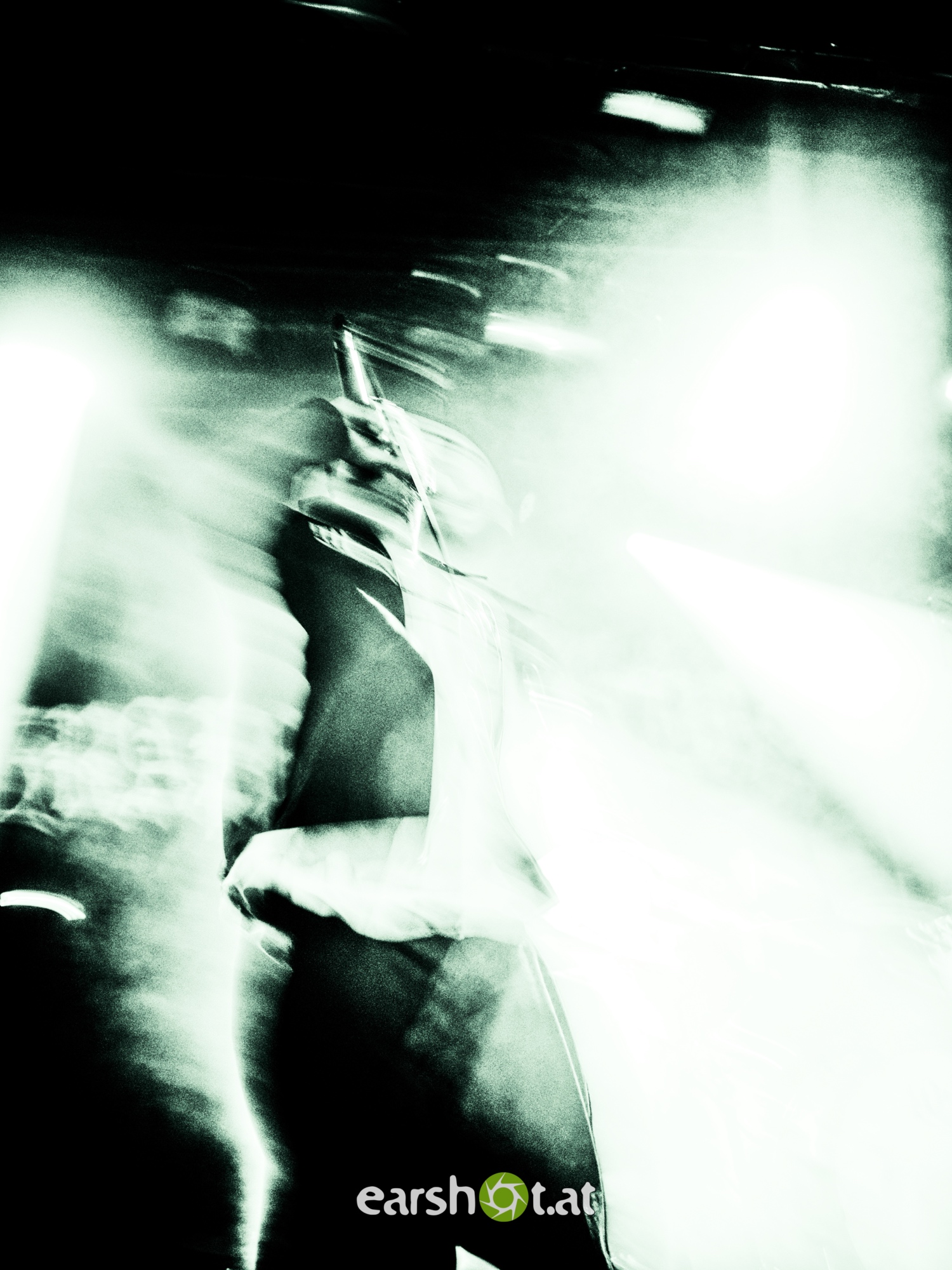 STRAY FROM THE PATH, ALPHA WOLF, GRAPHIC NATURE, CALVA LOUISE