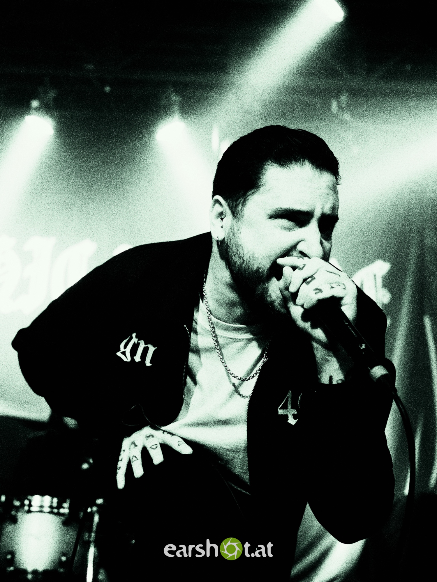 STRAY FROM THE PATH, ALPHA WOLF, GRAPHIC NATURE, CALVA LOUISE