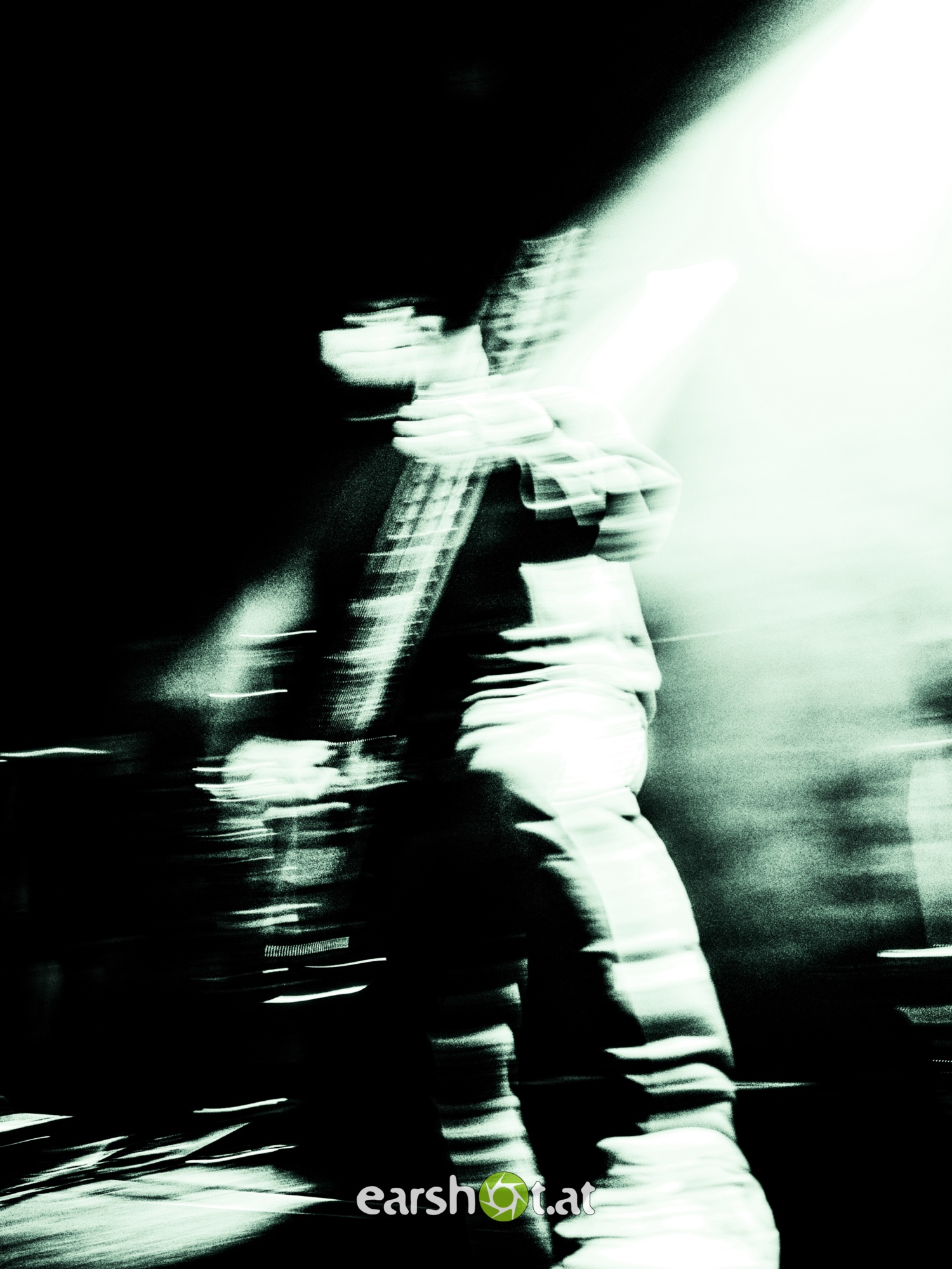 STRAY FROM THE PATH, ALPHA WOLF, GRAPHIC NATURE, CALVA LOUISE