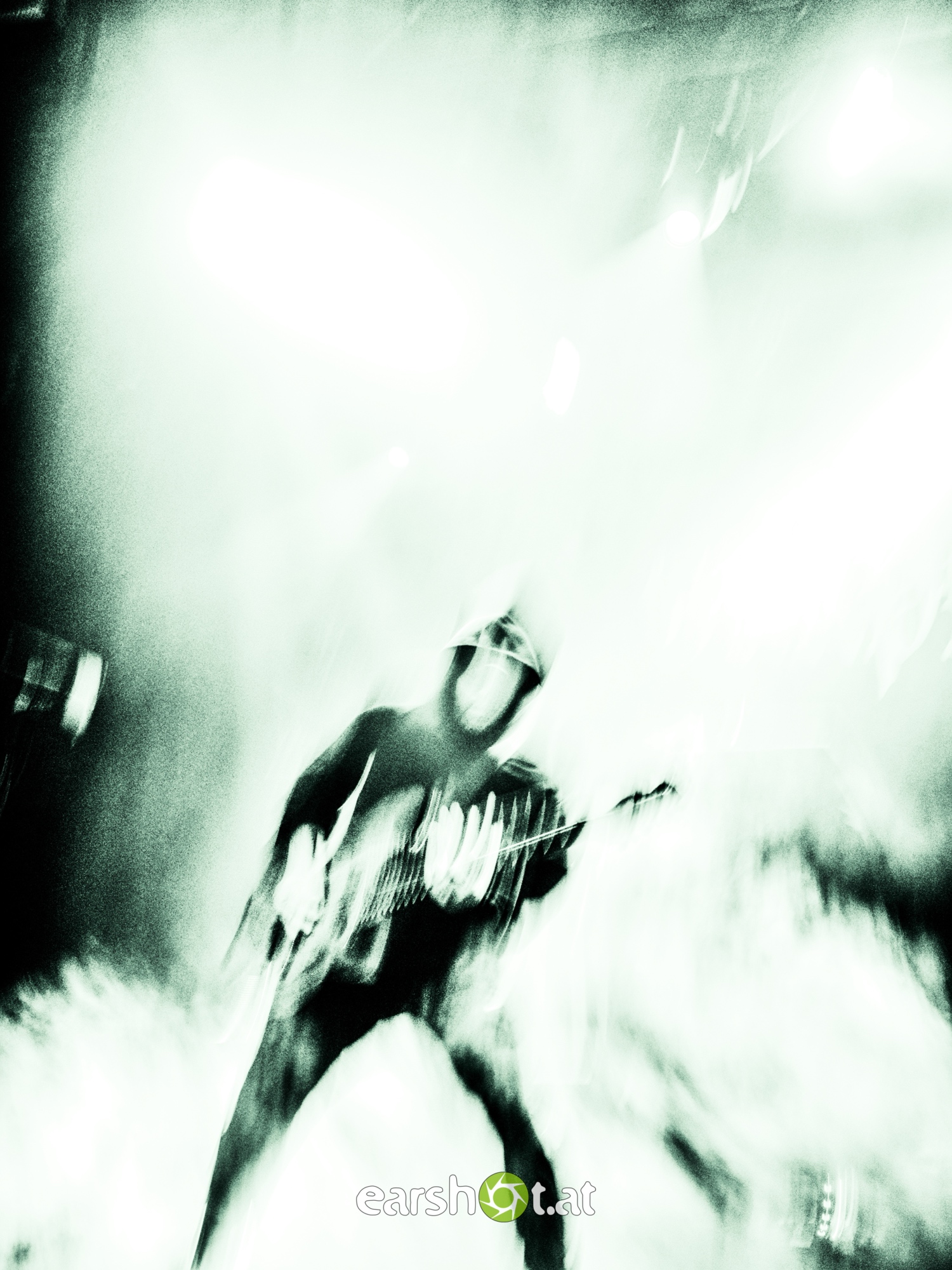 STRAY FROM THE PATH, ALPHA WOLF, GRAPHIC NATURE, CALVA LOUISE