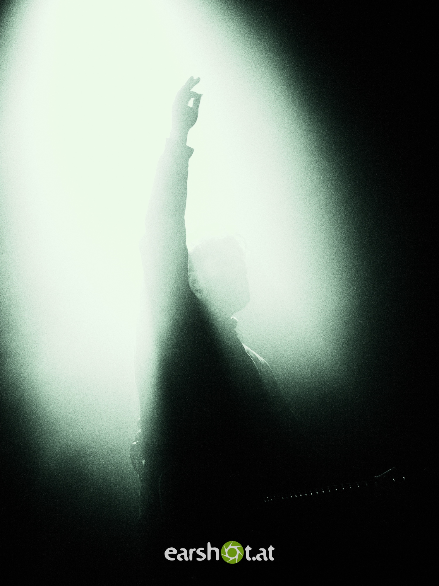 STRAY FROM THE PATH, ALPHA WOLF, GRAPHIC NATURE, CALVA LOUISE