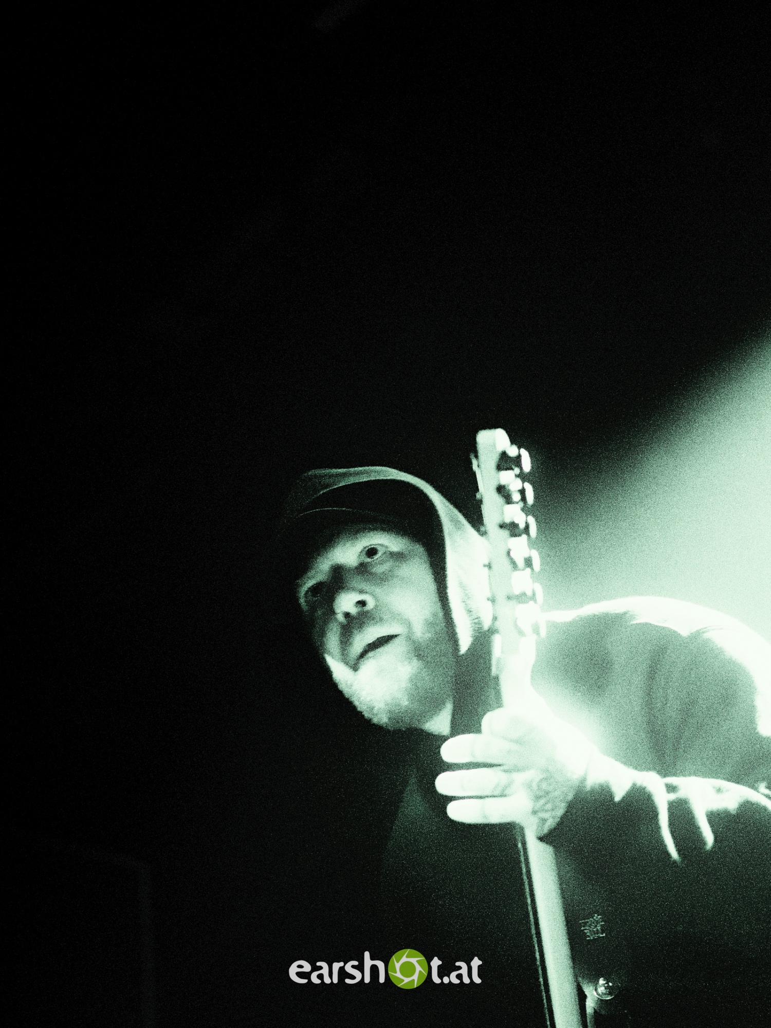 STRAY FROM THE PATH, ALPHA WOLF, GRAPHIC NATURE, CALVA LOUISE