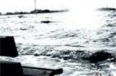 scarecrow nwa - at the back of beyond