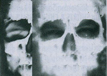 scargod - tatooed life