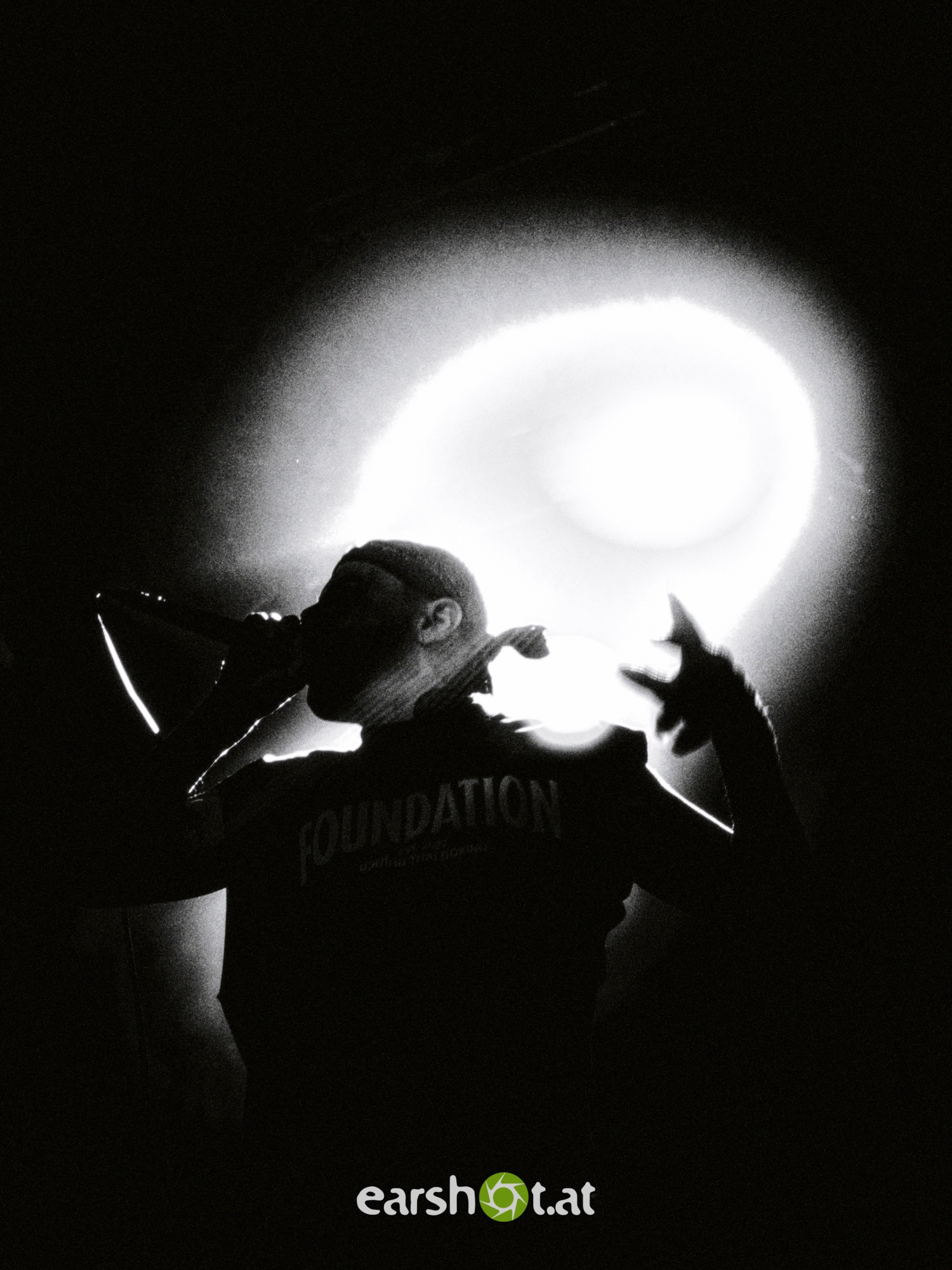 STRAY FROM THE PATH, ALPHA WOLF, GRAPHIC NATURE, CALVA LOUISE