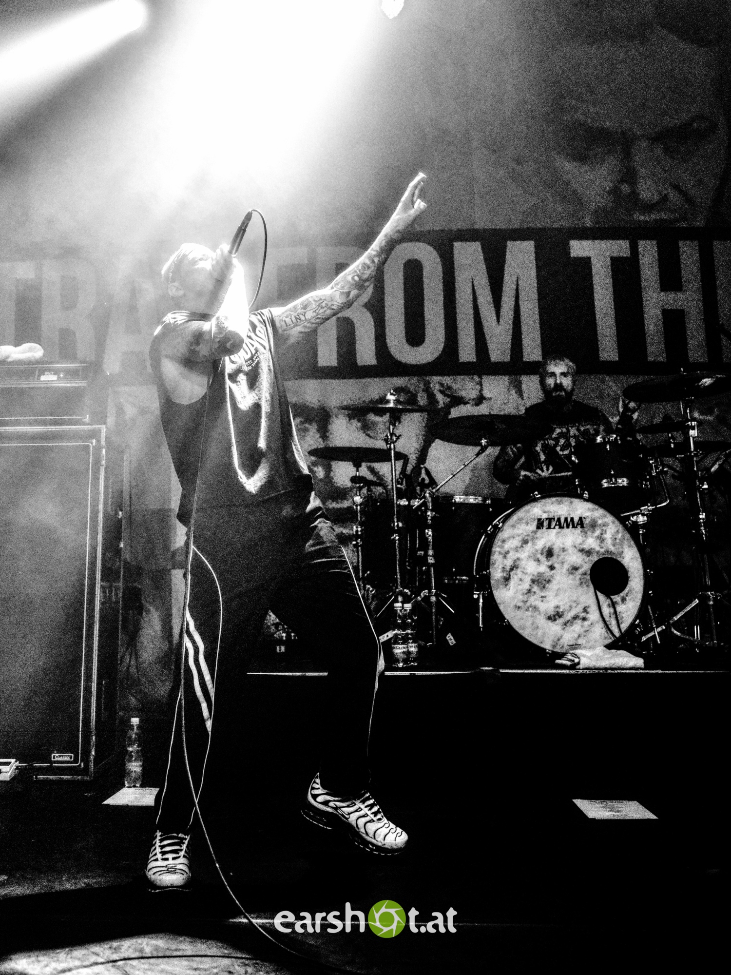 STRAY FROM THE PATH, ALPHA WOLF, GRAPHIC NATURE, CALVA LOUISE