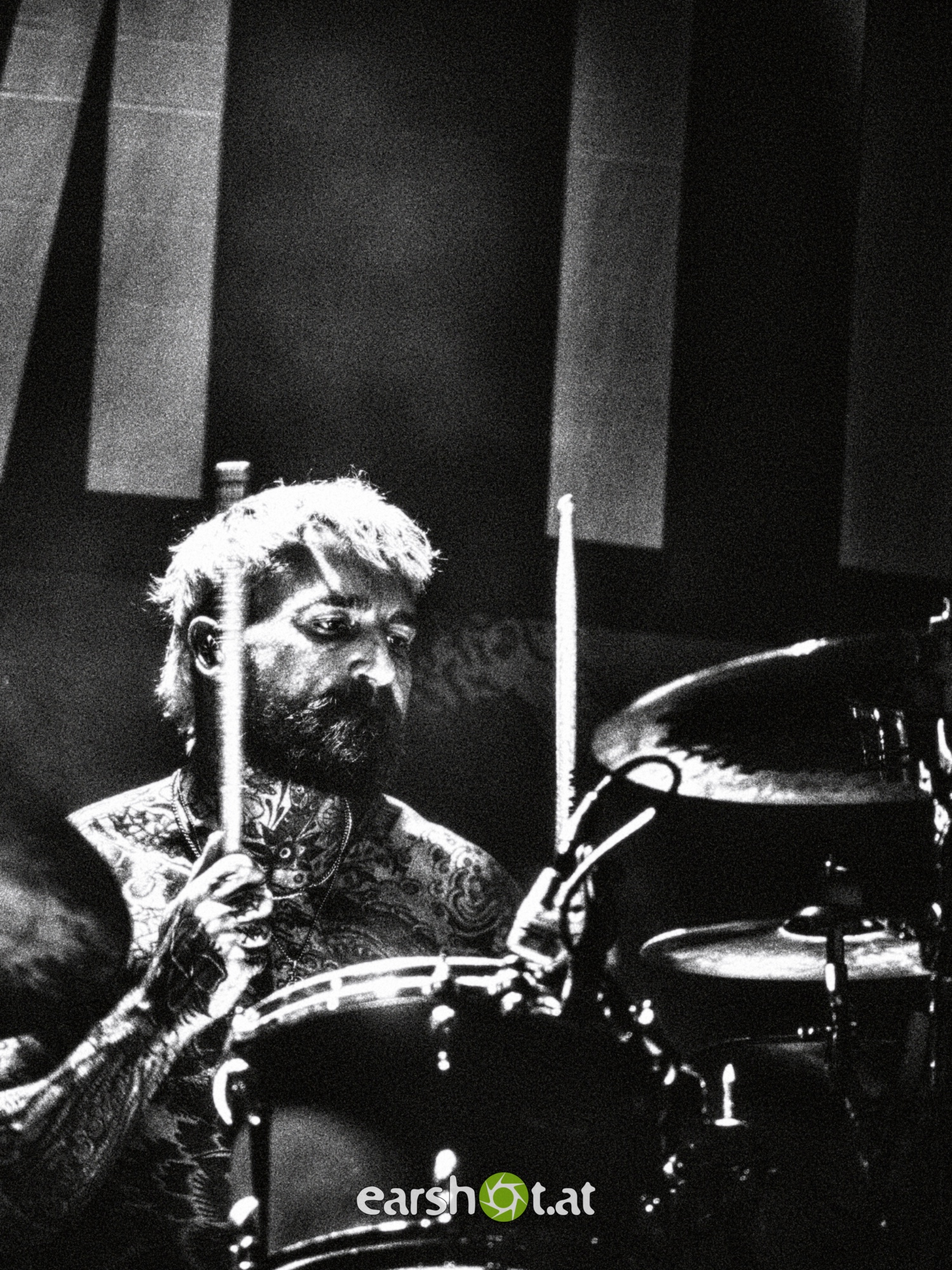 STRAY FROM THE PATH, ALPHA WOLF, GRAPHIC NATURE, CALVA LOUISE