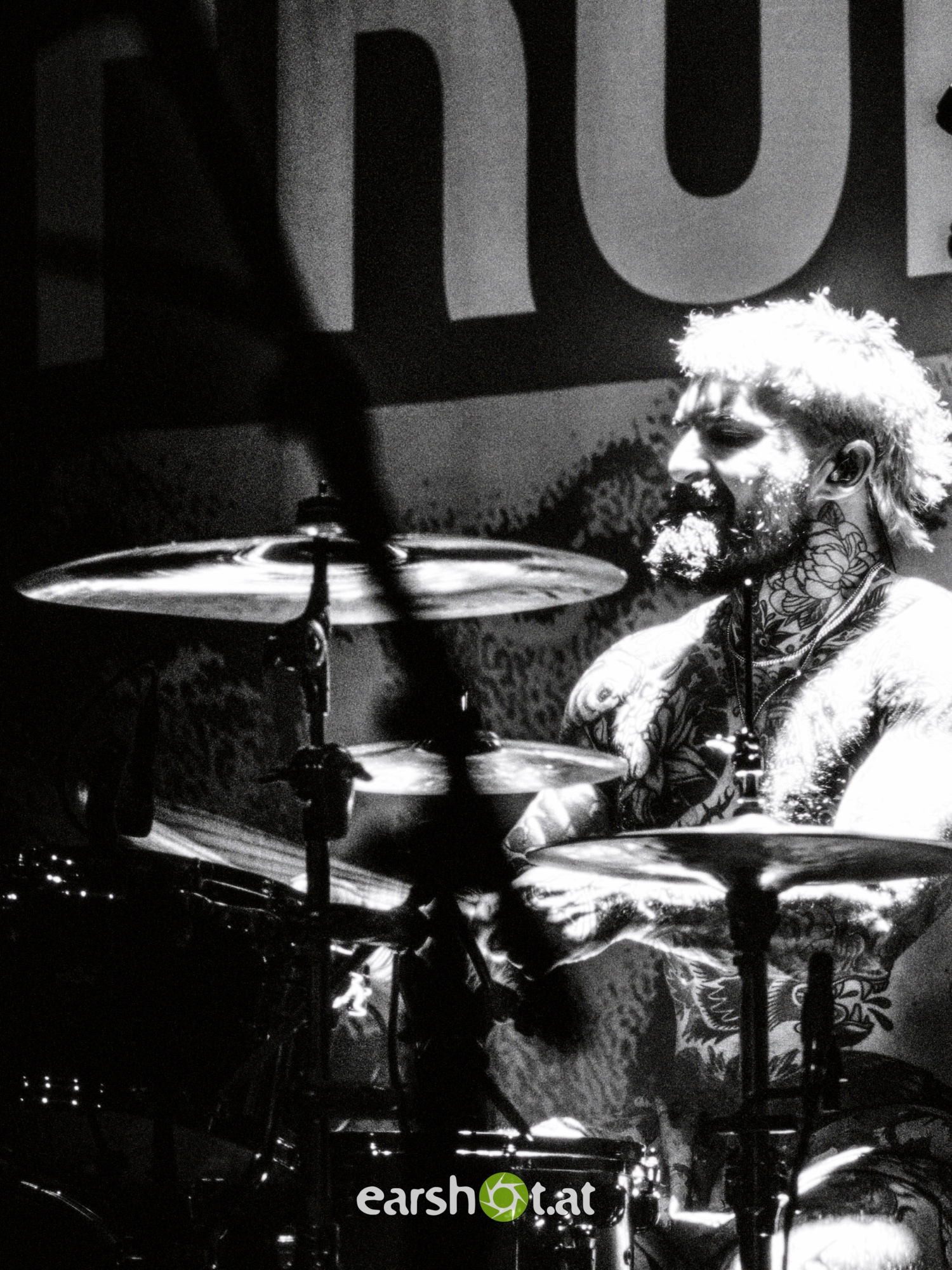 STRAY FROM THE PATH, ALPHA WOLF, GRAPHIC NATURE, CALVA LOUISE