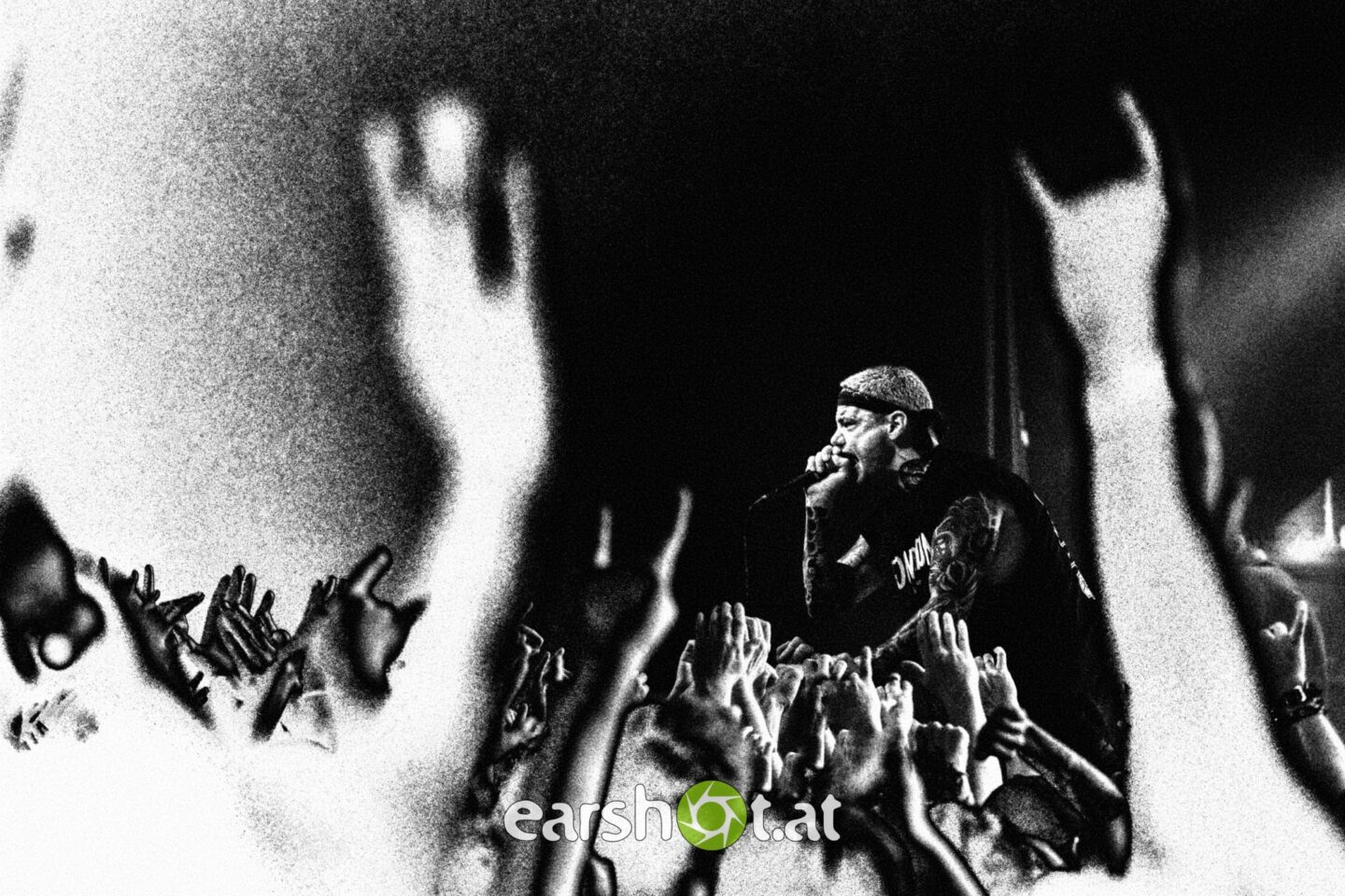 STRAY FROM THE PATH, ALPHA WOLF, GRAPHIC NATURE, CALVA LOUISE