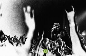 STRAY FROM THE PATH, ALPHA WOLF, GRAPHIC NATURE, CALVA LOUISE