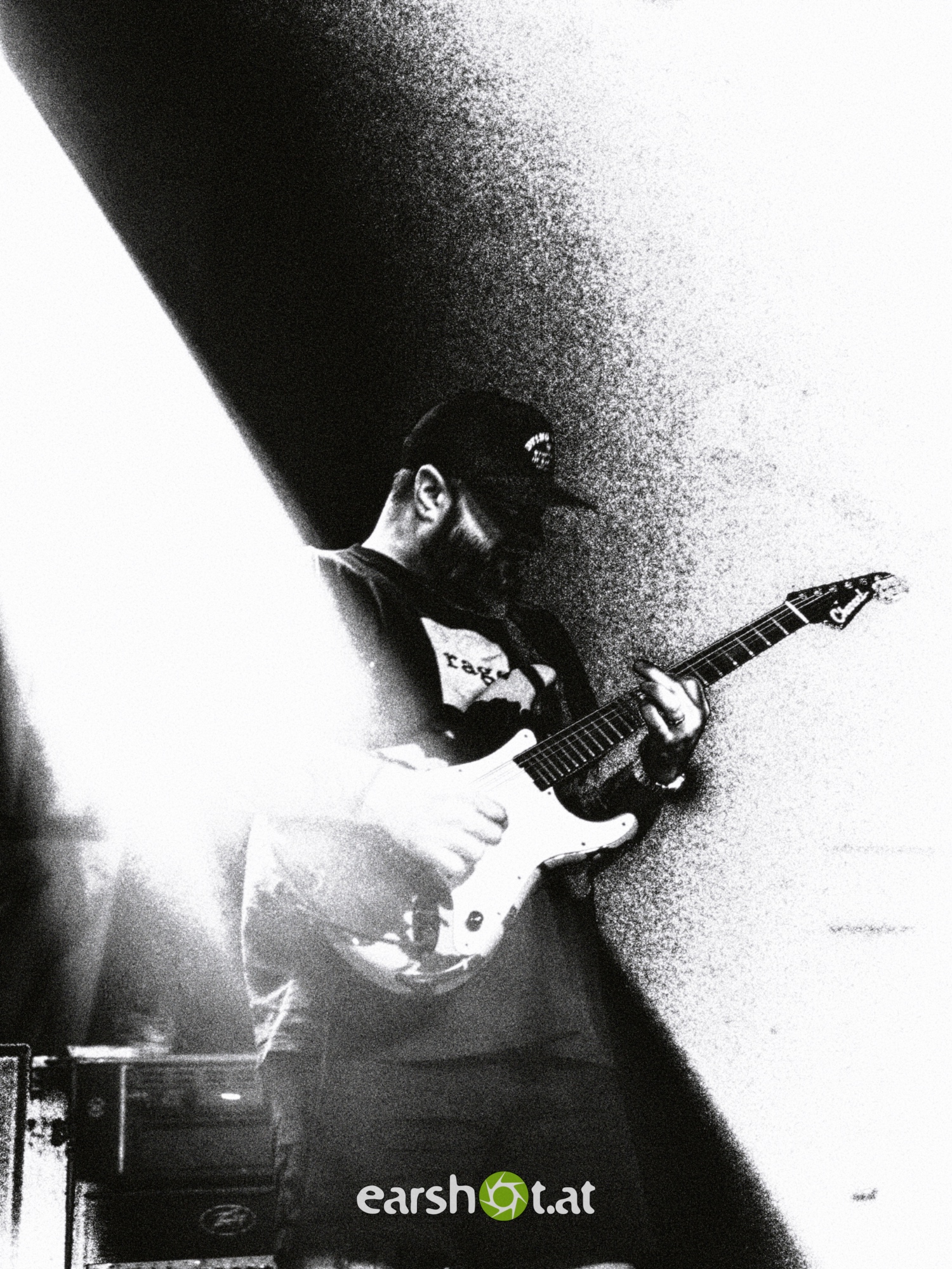 STRAY FROM THE PATH, ALPHA WOLF, GRAPHIC NATURE, CALVA LOUISE