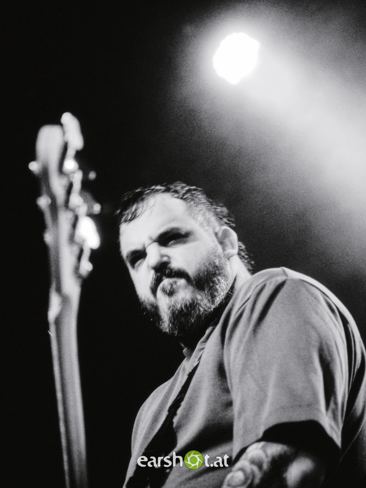 STRAY FROM THE PATH, ALPHA WOLF, GRAPHIC NATURE, CALVA LOUISE