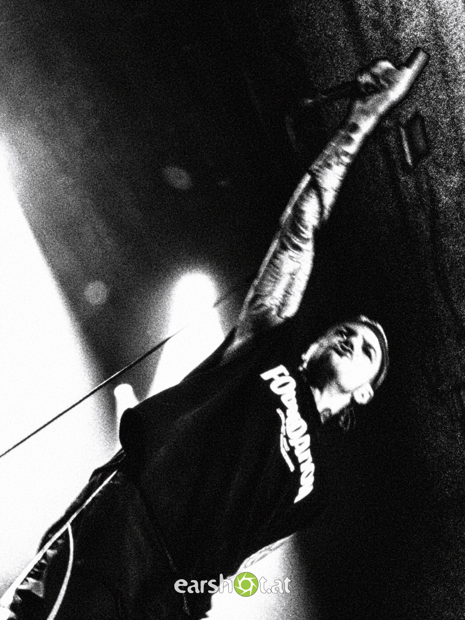 STRAY FROM THE PATH, ALPHA WOLF, GRAPHIC NATURE, CALVA LOUISE