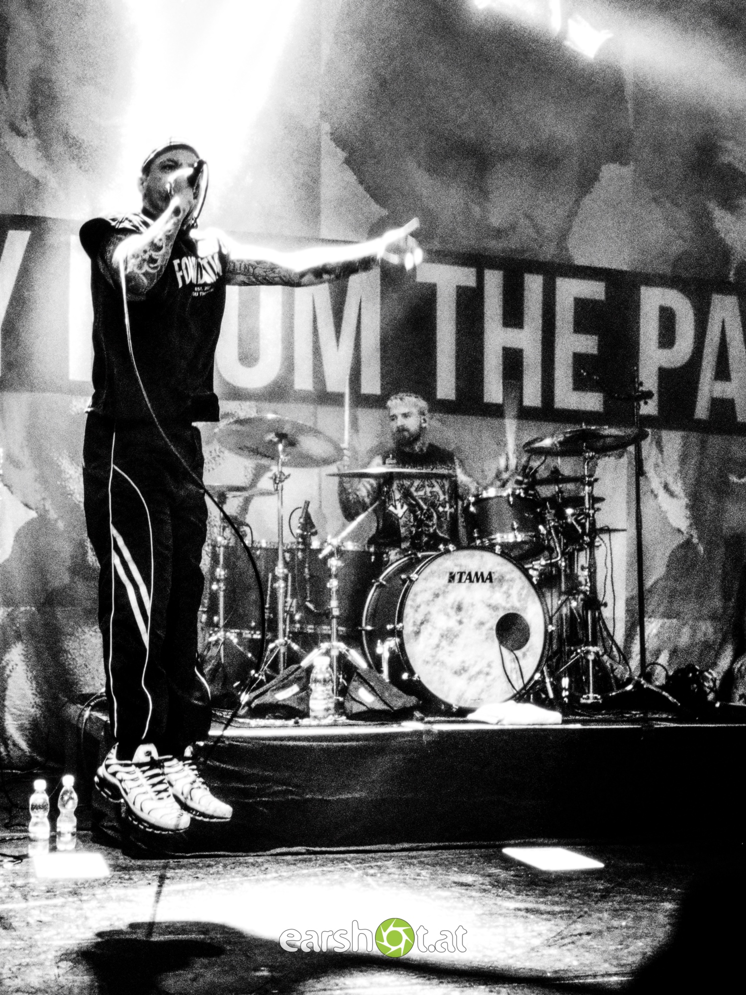 STRAY FROM THE PATH, ALPHA WOLF, GRAPHIC NATURE, CALVA LOUISE