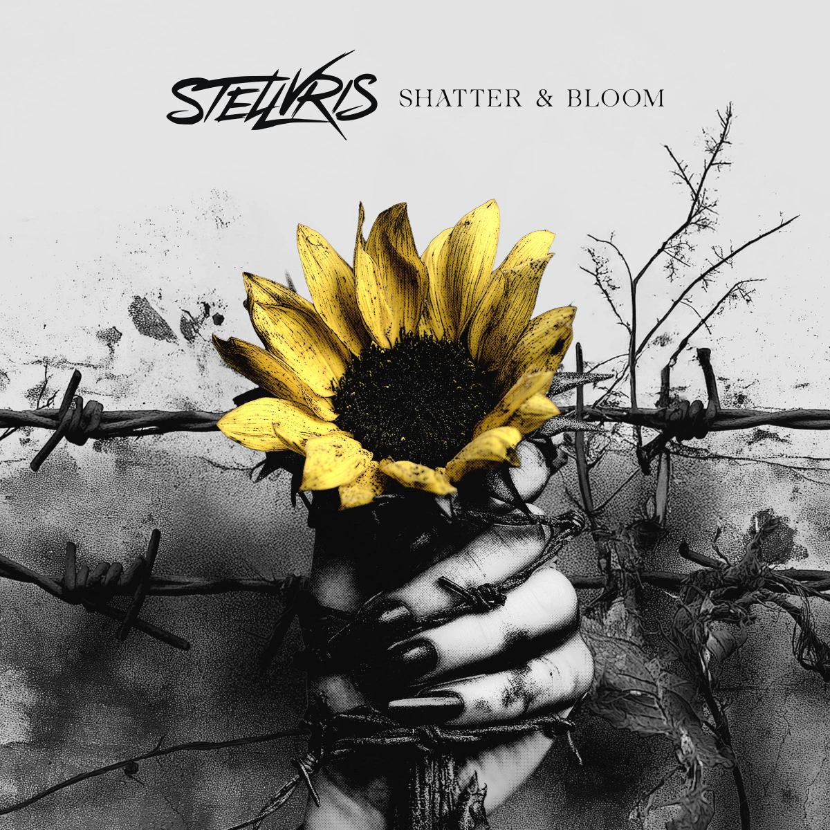STELLVRIS - Shatter & Bloom stellvris - shatter & bloom