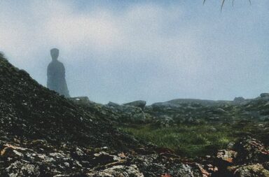 yellow eyes - confusion gate