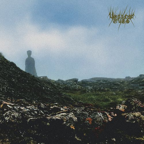 YELLOW EYES - Confusion Gate yellow eyes - confusion gate