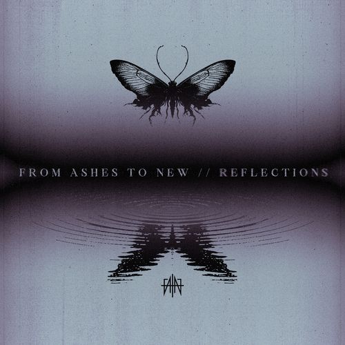 FROM ASHES TO NEW - Reflection from ashes to new - reflection
