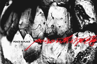 POISON THE WELL – Peace In Place