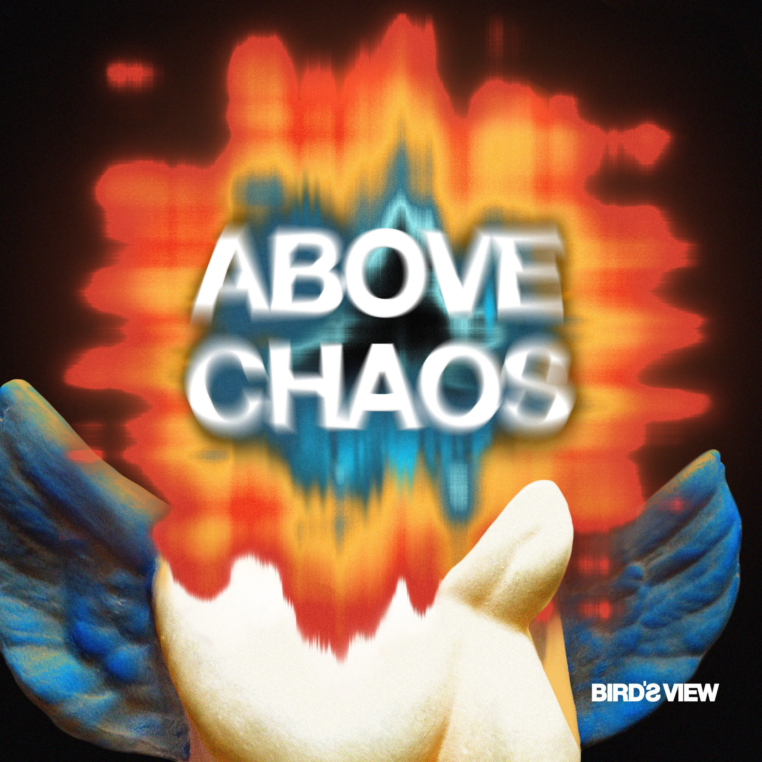 BIRD'S VIEW - Above Chaos BIRDS VIEW - Above Chaos