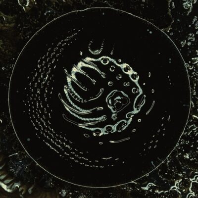 STONUS – Space To Dive