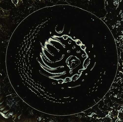 STONUS - Space To Dive STONUS – Space To Dive