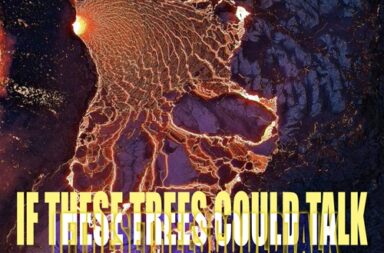 IF THESE TREES COULD TALK – The Hidden Hand