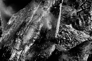 taake - En Skog Av Nidstang