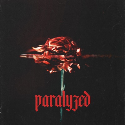 setyoursails - paralyzed